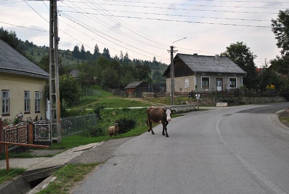 22_Pojana Mikuli